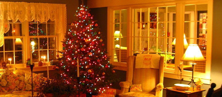 Christmas & Holidays