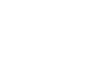 Mount Snow Logo