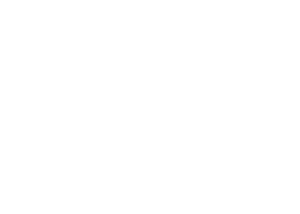 Trip Advisor Logo