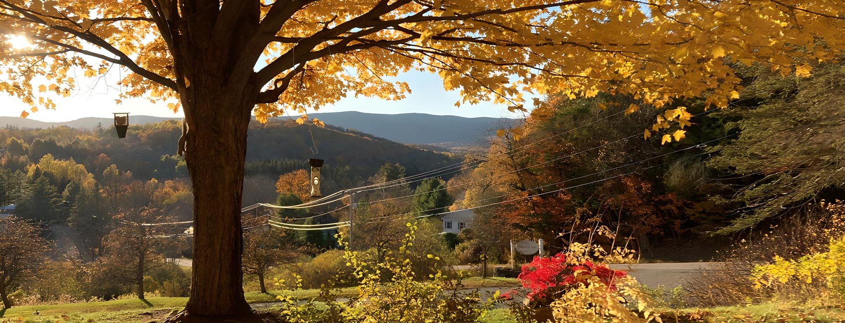 Fall view of sign at Deerhill INn