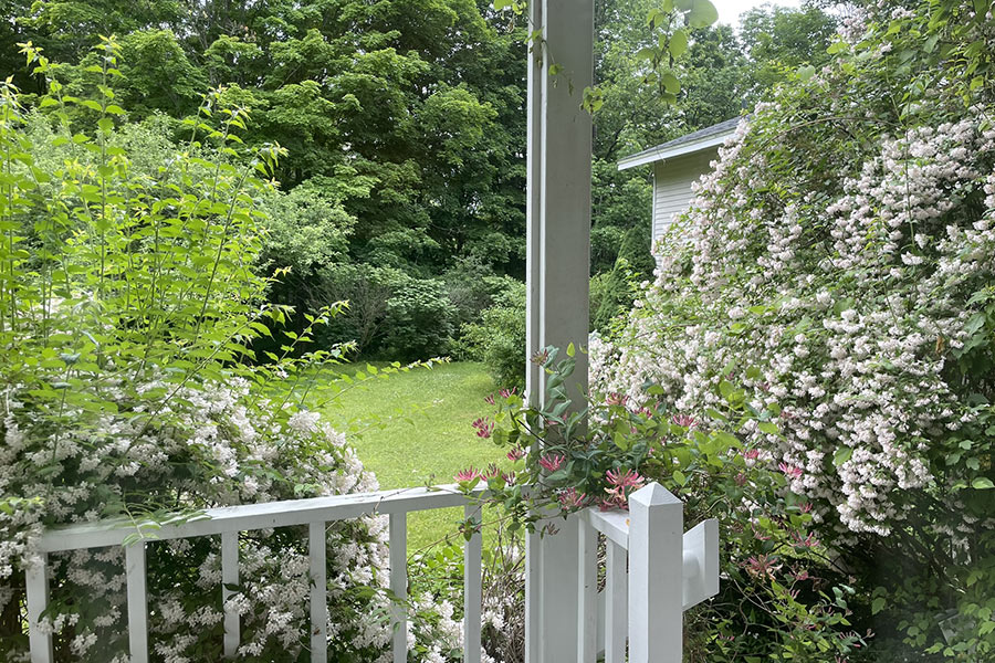 lilac porch view