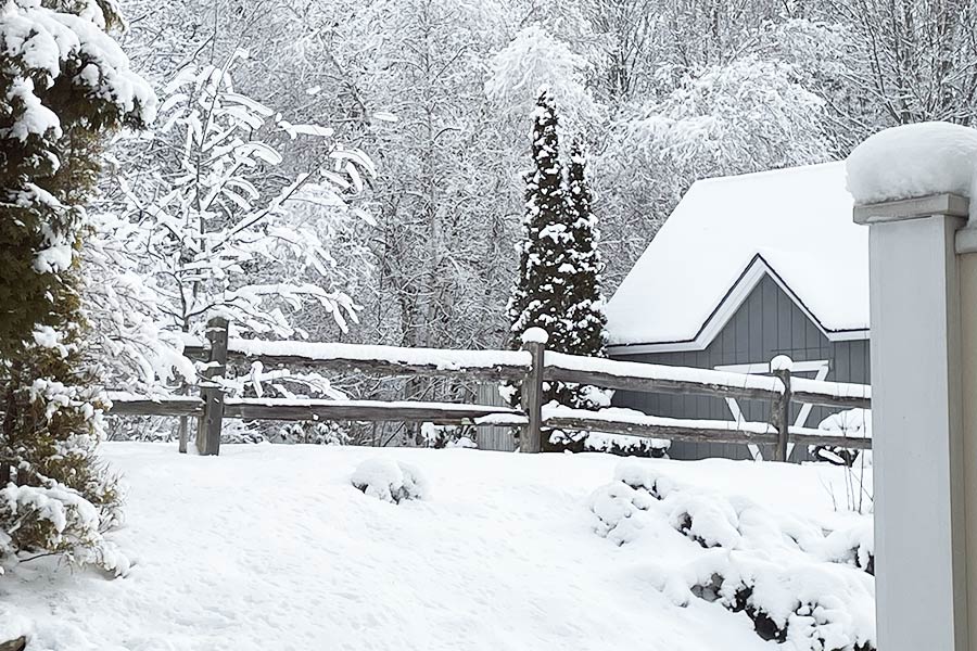 view from magnolia room in winter